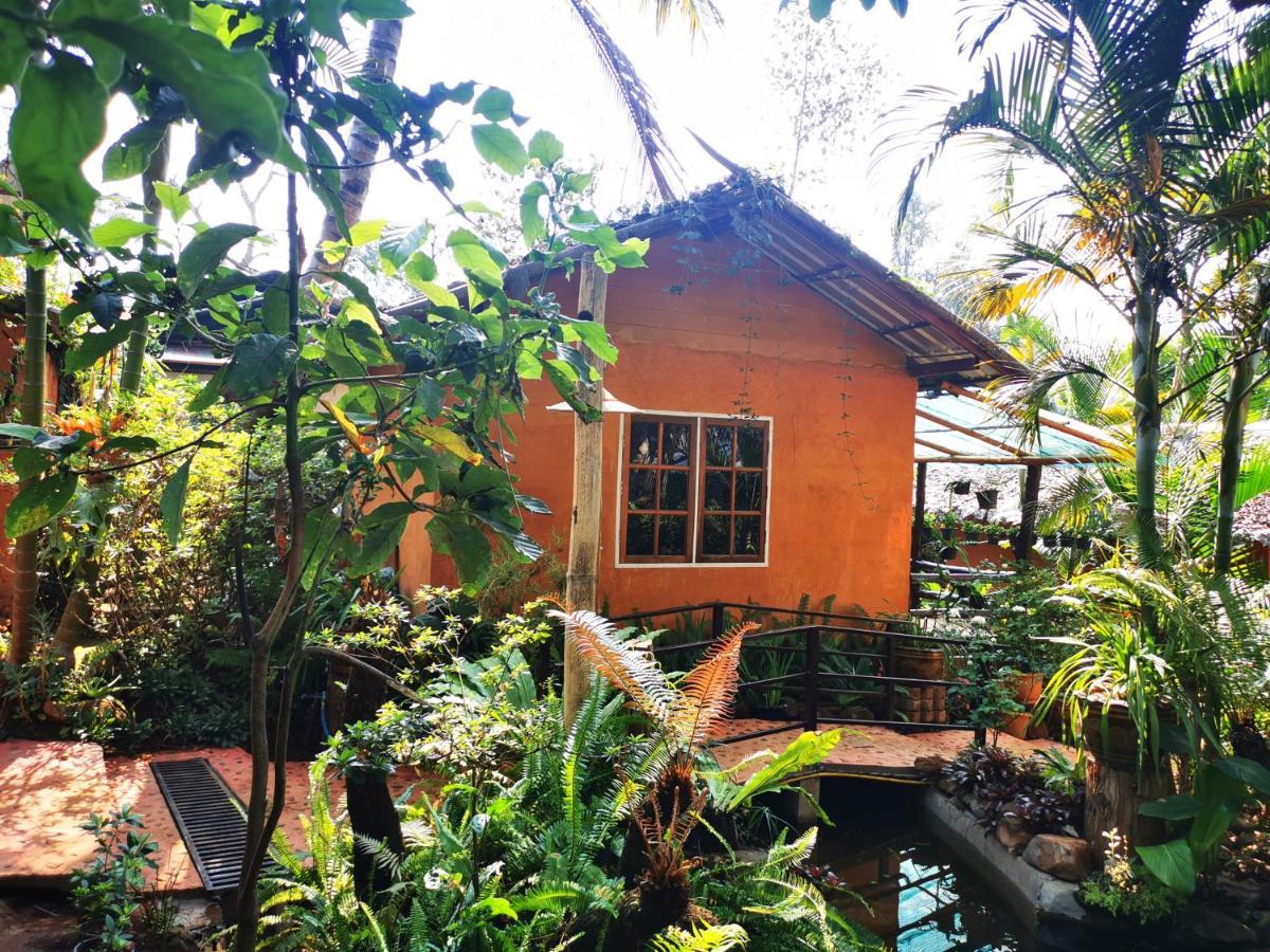 บ้านดินโฮมสเตย์ ปางอุ๋ง Ban Huai Makhuea Som Bagian luar foto